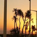 Avendida Costanera